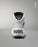 Rudis Colt 4.0 Ghost Wrestling Shoes