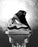 Rudis JB1 White Freeze Wrestling Shoes